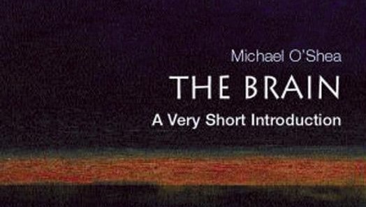 the brain book review
